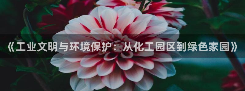 亿万先生网站下载:《工业文明与环境保护:从化工园区到绿色家园》